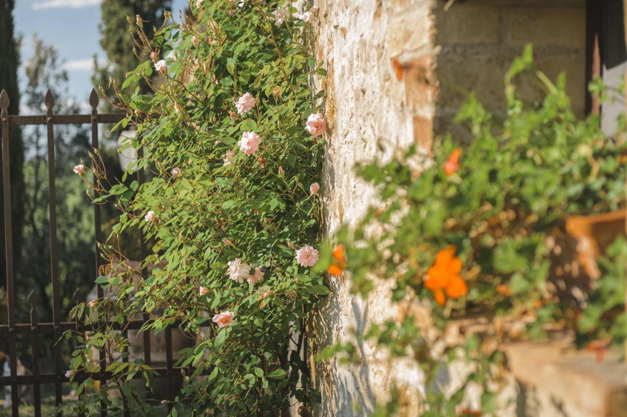 Agriturismo Cretaiole Pienza Dış mekan fotoğraf