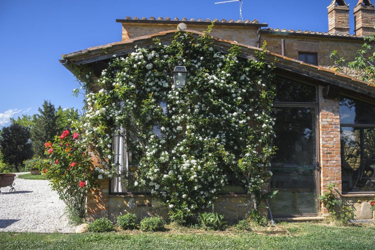 Agriturismo Cretaiole Pienza Dış mekan fotoğraf