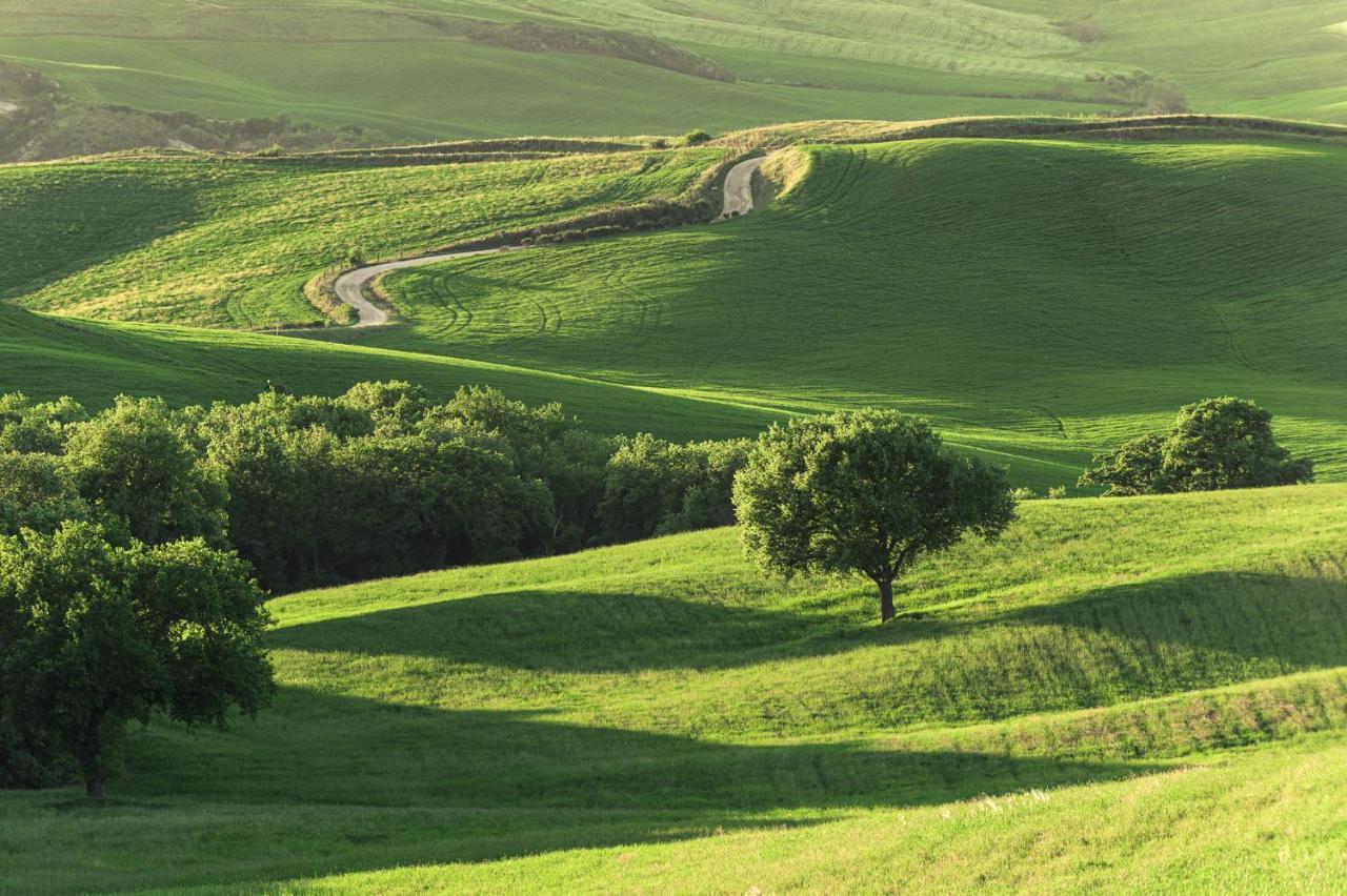 Agriturismo Cretaiole Pienza Dış mekan fotoğraf