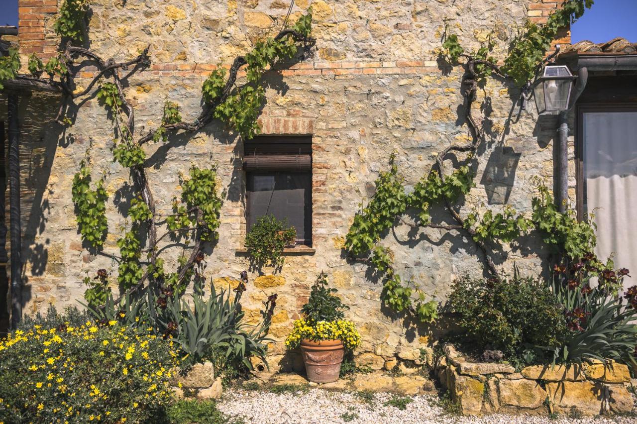 Agriturismo Cretaiole Pienza Dış mekan fotoğraf